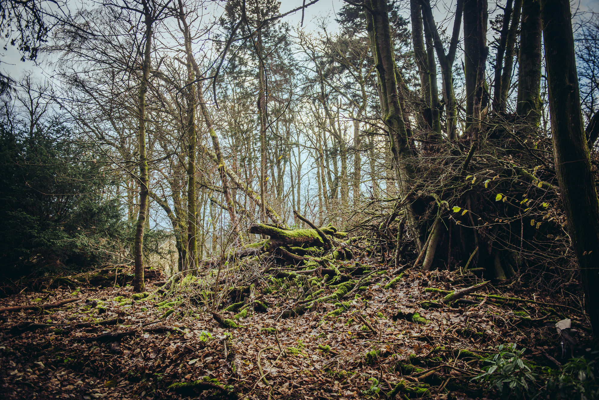 Affittacamere Cornhill Castle Biggar Esterno foto